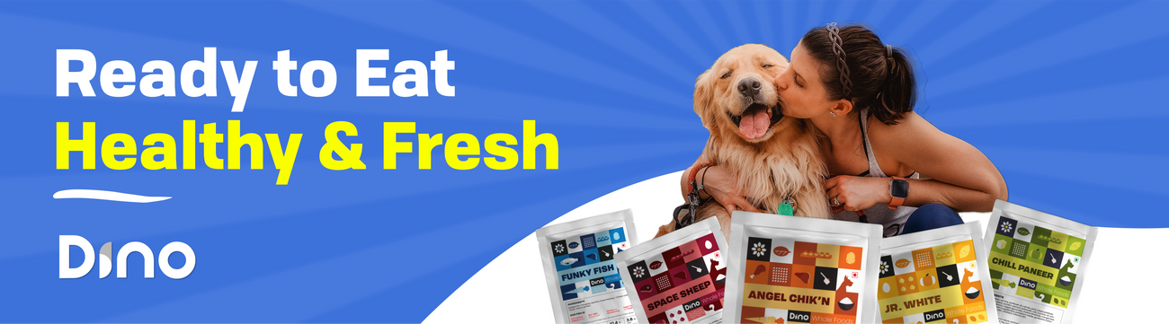 Dino - Fresh Food | Shop on Superr Pets & Earn Rewards