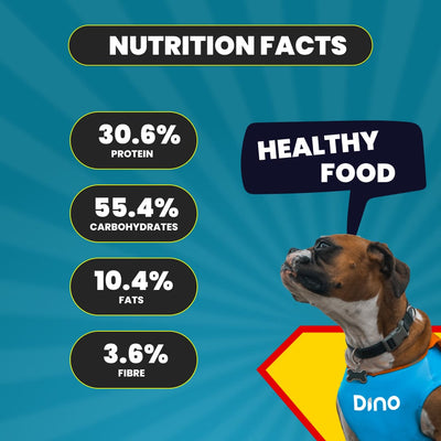 Dino Fresh Food Dino Whole Foods Fish Recipe | Funky Fish | Wet Dog Food for Adult & Puppy (200g per Meal)