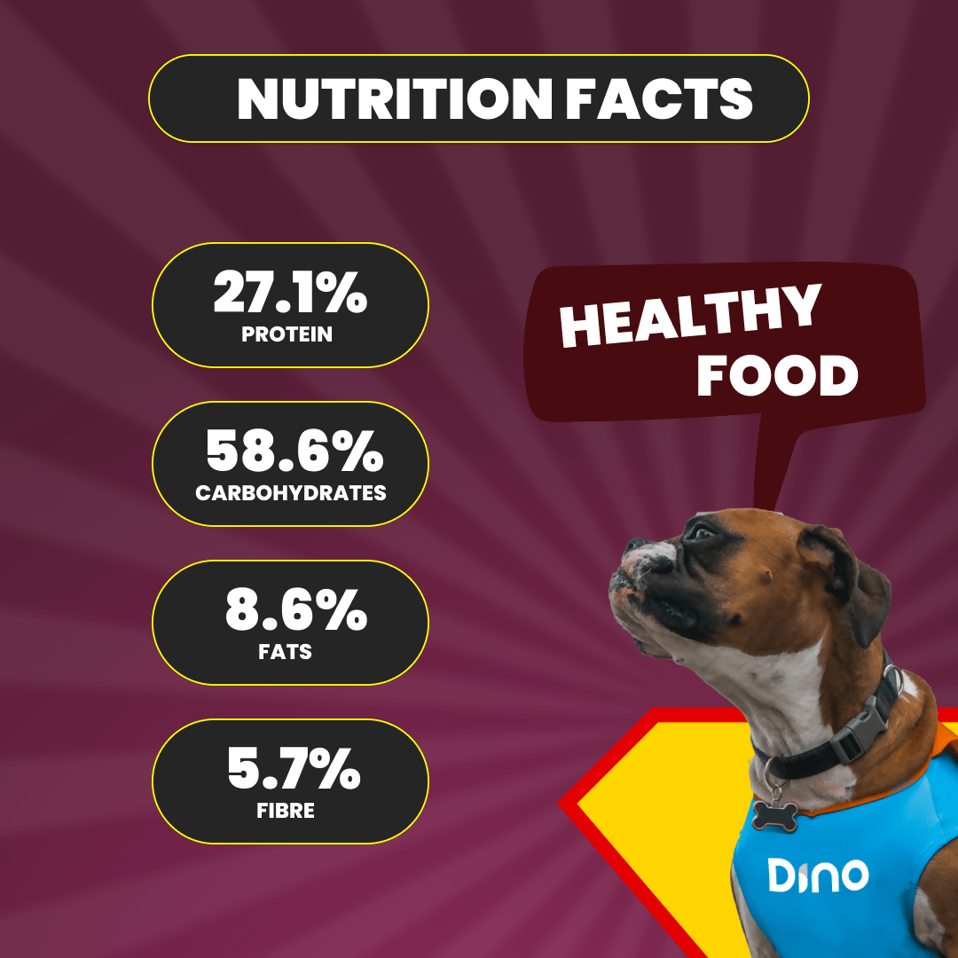 Dino Fresh Food Dino Whole Foods Mutton Recipe | Space Sheep | Wet Dog Food for Adult & Puppy (300g per Meal)