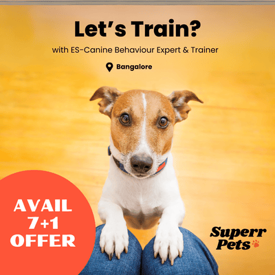 ES-Canine Behaviour Expert & Trainer Pet Training Pet Training Package by ES-Canine Behaviour Expert & Trainer