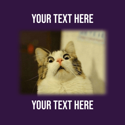 Superr Pets Casual T-Shirt Custom Cat Meme 2 | Pet Meme Casual T-Shirt