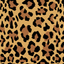 Superr Pets Coaster Cheetah Print | Coasters