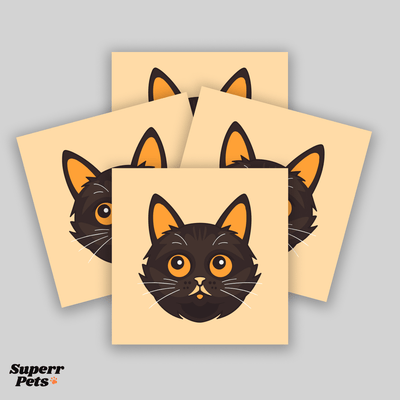 Superr Pets Coaster Square / Set Of 4 Benjamin Kitten | Coasters