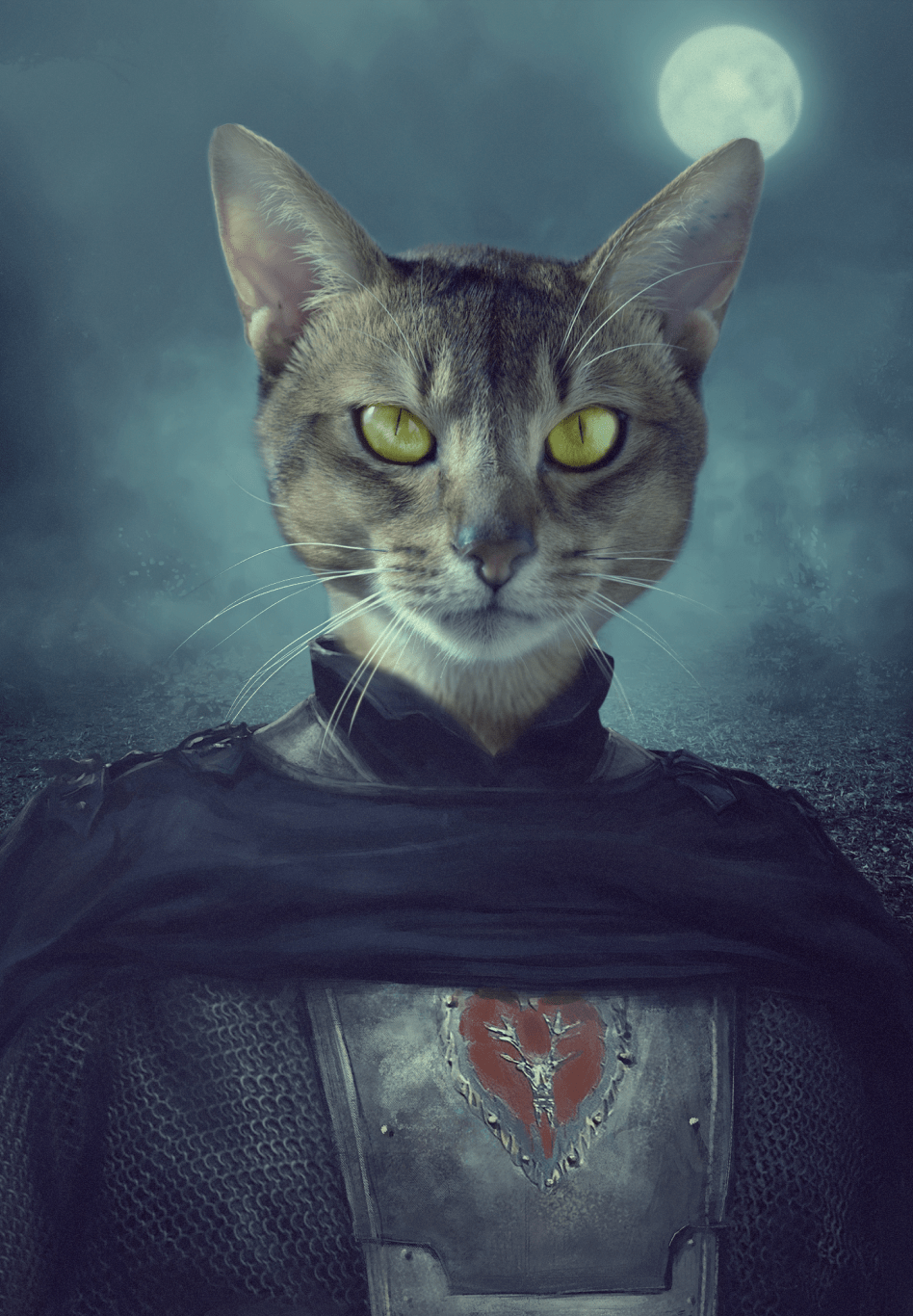 Superr Pets Custom Pet Portraits The Brave Knight | Custom Pet Portraits