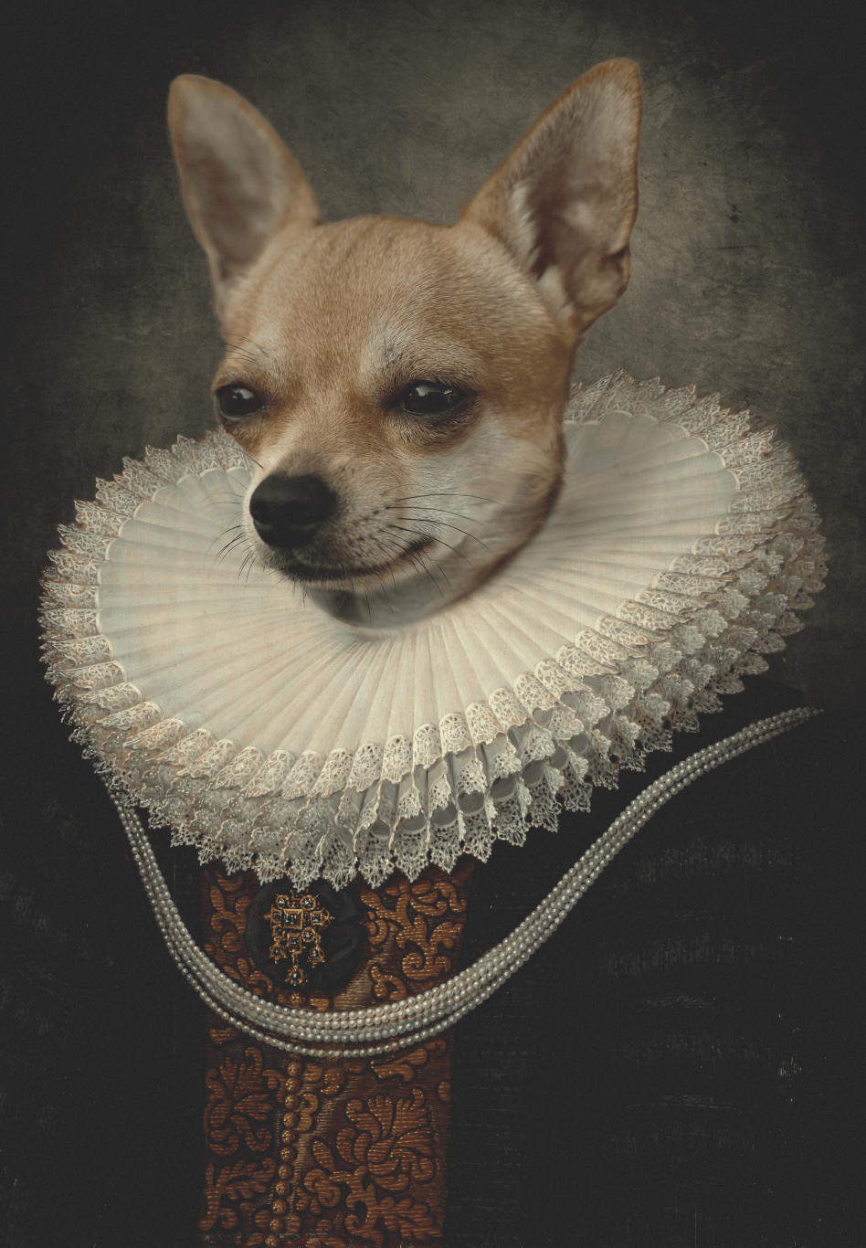 Superr Pets Custom Pet Portraits The Cunning Minister | Custom Pet Portraits