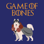 Superr Pets Fridge Magnet Game Of Bones | Fridge Magnet