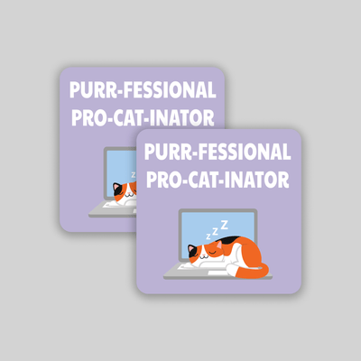 Superr Pets Fridge Magnet Set Of 2 Purrfessional Procatinator | Fridge Magnet