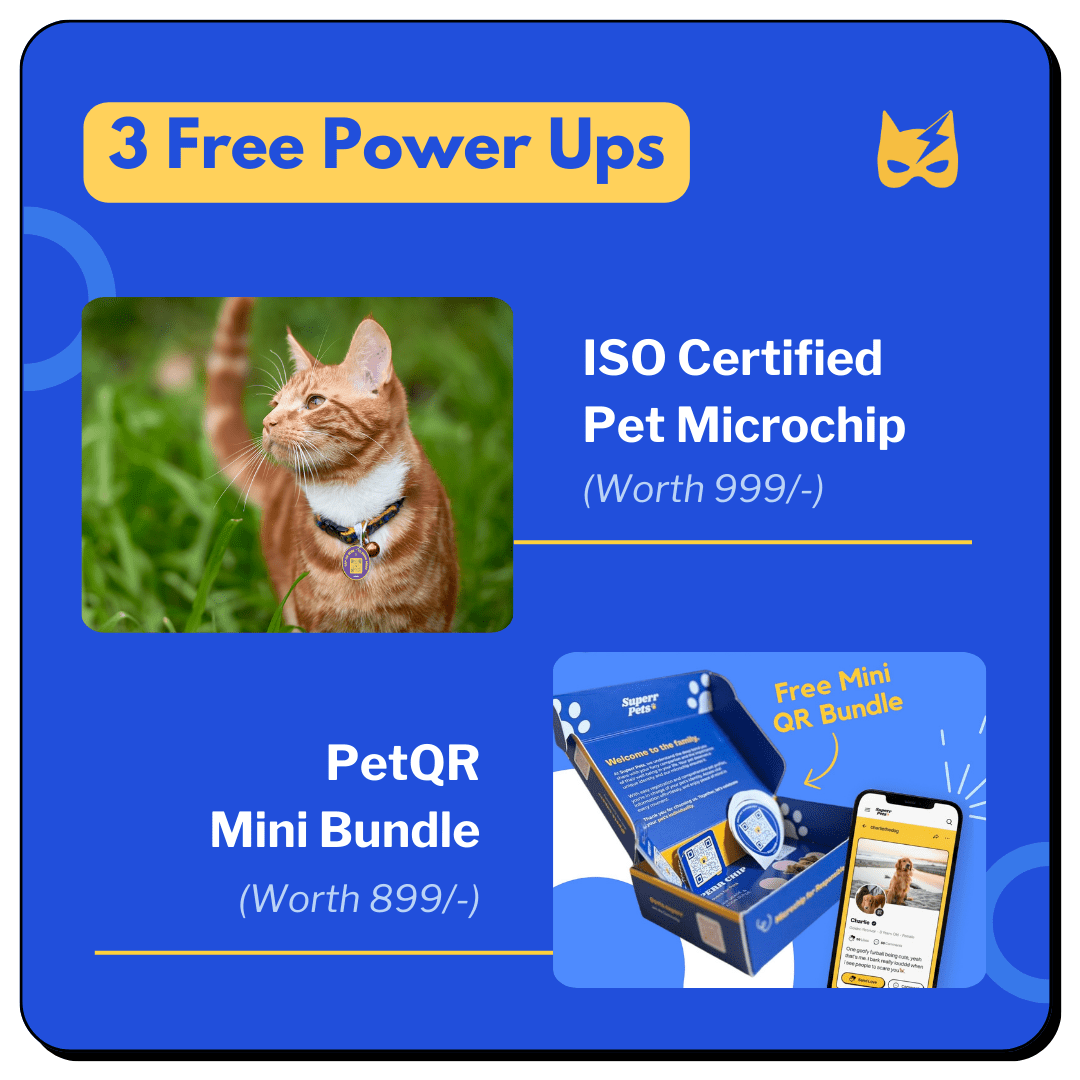 Superr Pets LIFETIME ACCESS Pet Superr Powers Plan (Lifetime Deal)