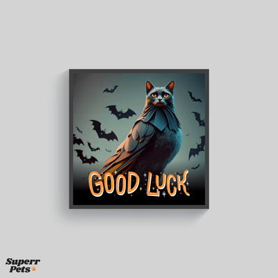Superr Pets Poster Raven Cat | Wall Poster | Superr Real Edition
